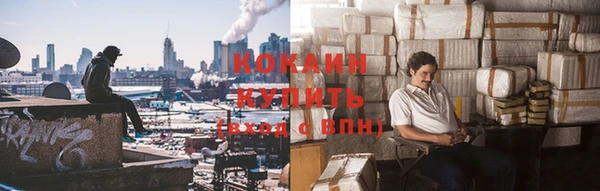 эйфоретик Вяземский