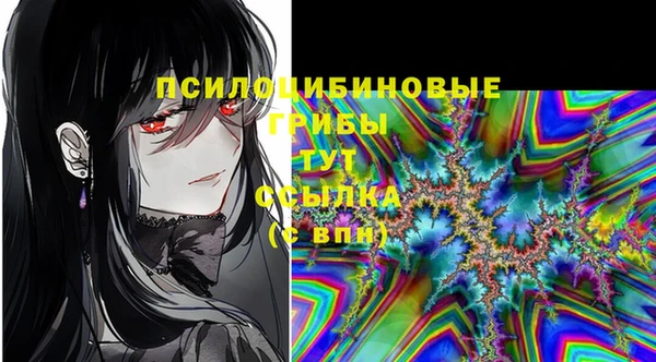 эйфоретик Вяземский