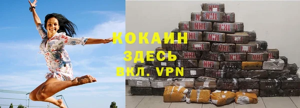 стафф Вязьма