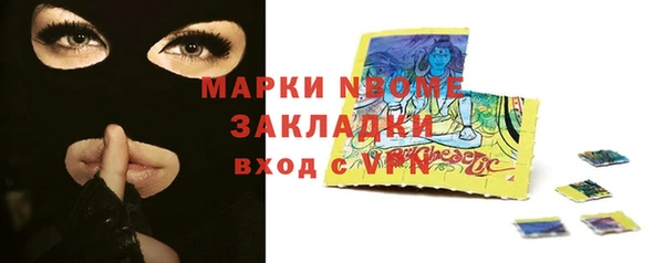 стафф Вязьма