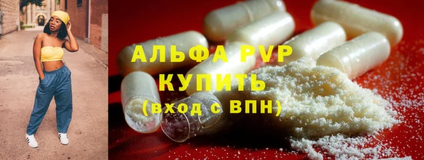 эйфоретик Вяземский
