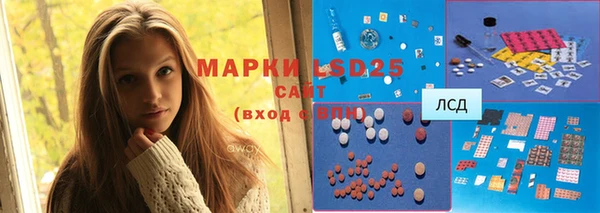 стафф Вязьма